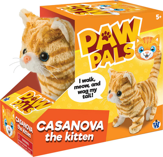 Casanova Walking Kitten