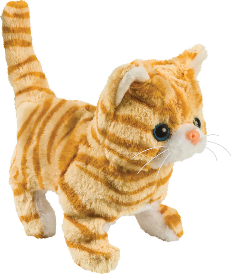 Casanova Walking Kitten