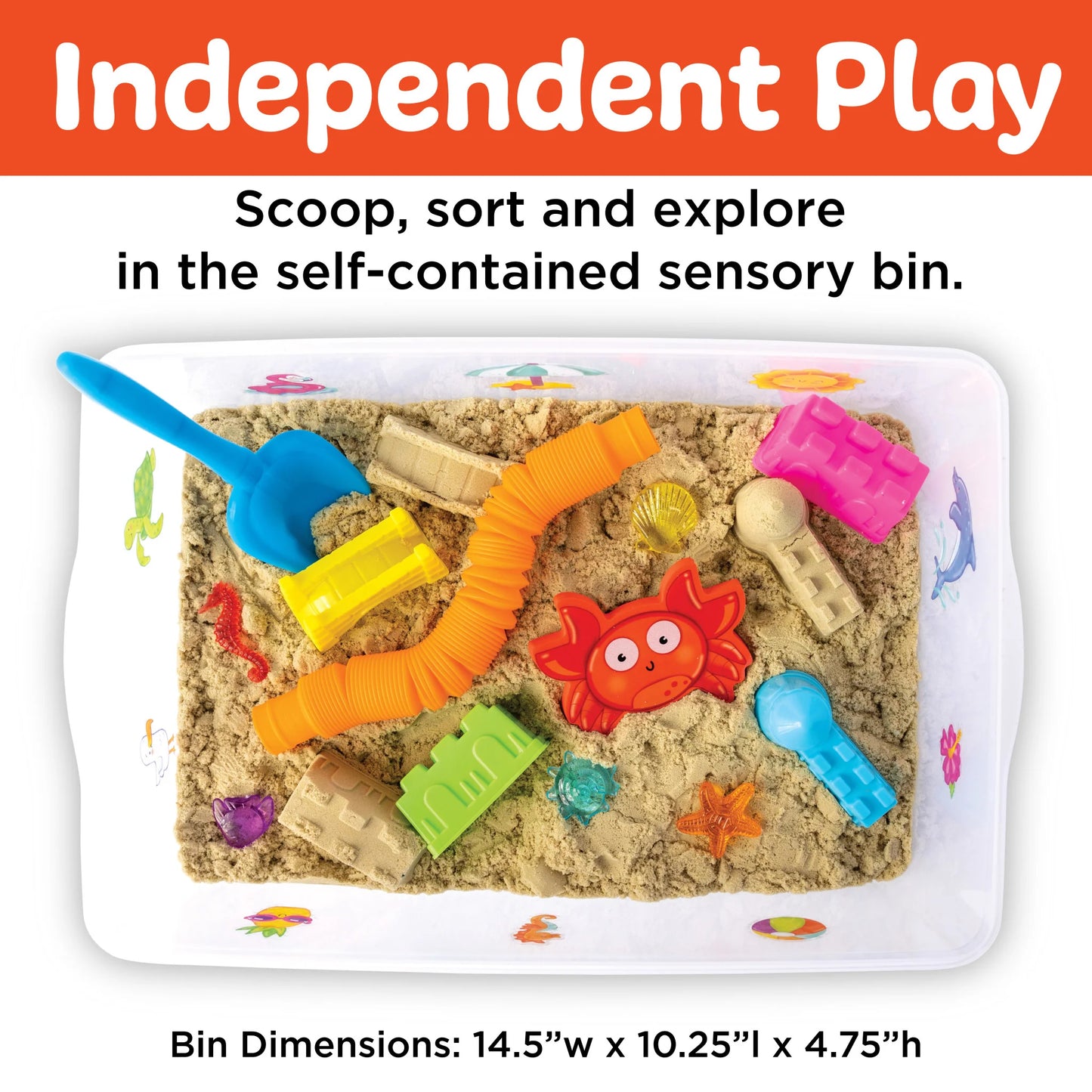 Beach Sensory Bin